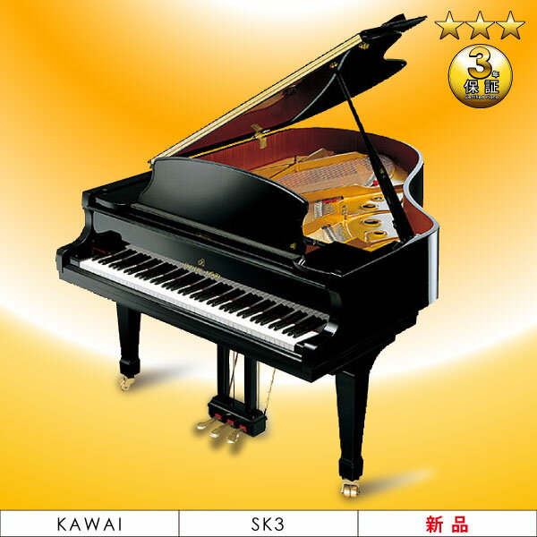 ViOhsAm@KAWAI(JCjSK-3yԌ VisAmLy[z6_Zbg+gm[v[g!!